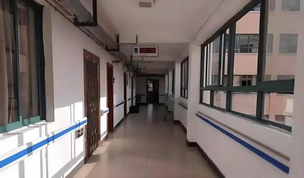 《邓南遮占领阜姆自由邦》——媒介力量下的历史复现